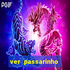 ver passarinho morto significado espiritual